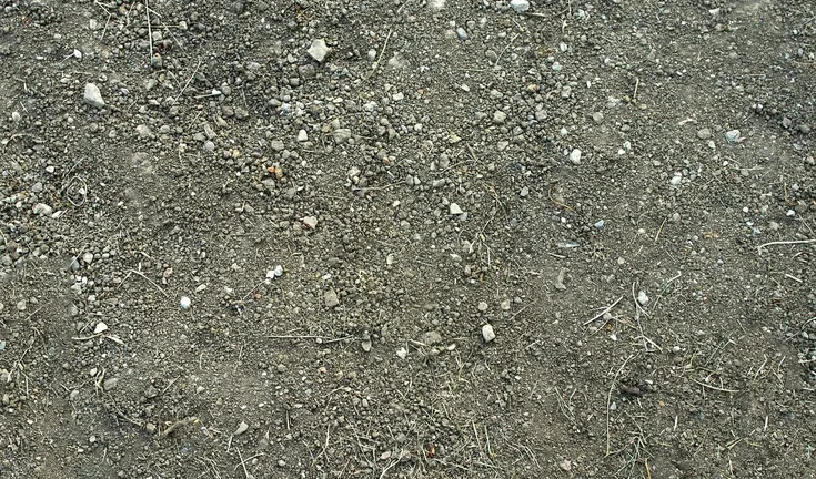 Soil Colloids in Hindi