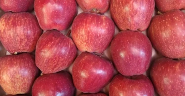 kinnaur apple
