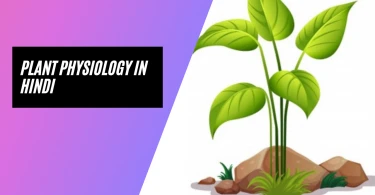 Plant Physiology in Hindi