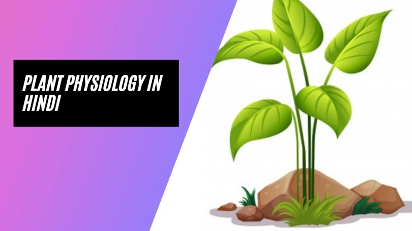Plant Physiology in Hindi
