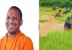 किसानों को समृद्ध बनाएगी यूपी सरकार