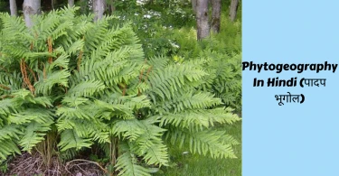 Phytogeography In Hindi