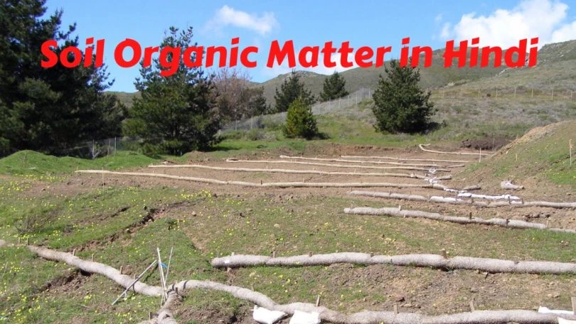 Soil Organic Matter in Hindi