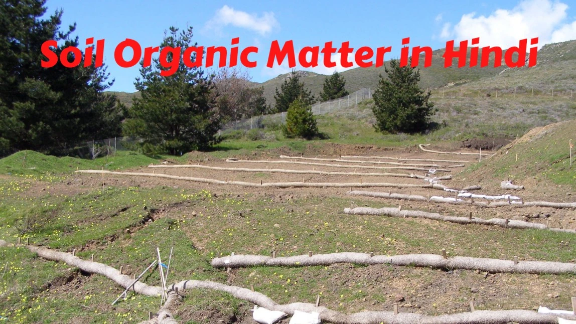 Soil Organic Matter in Hindi