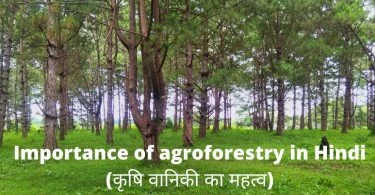 Importance of agroforestry in Hindi