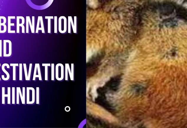 Hibernation And Aestivation In Hindi